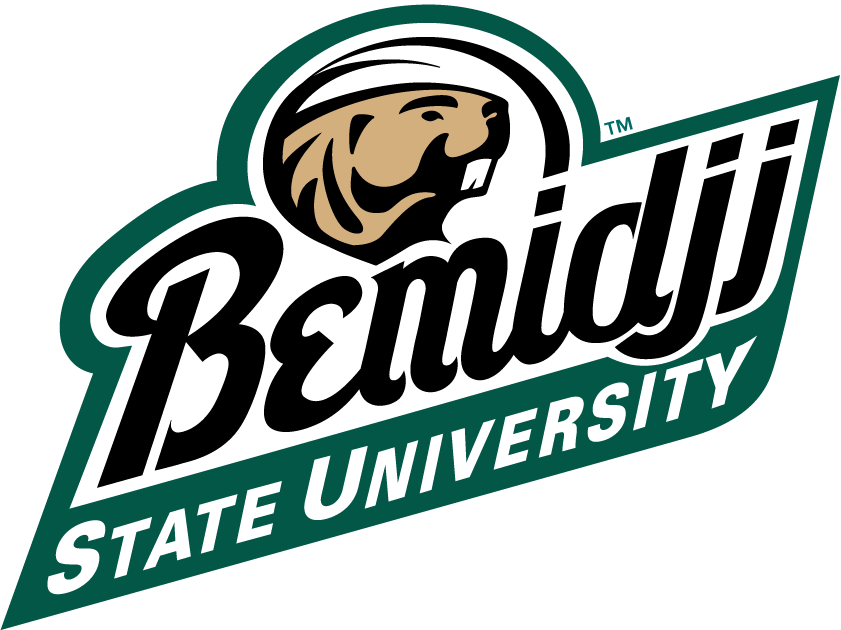 Bemidji State Beavers 2004-Pres Alternate Logo diy DTF decal sticker